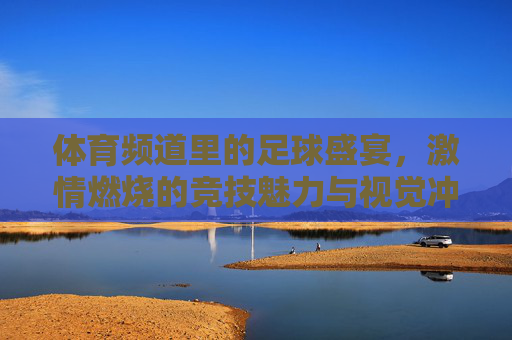 体育频道里的足球盛宴,激情燃烧的竞技魅力与视觉冲击