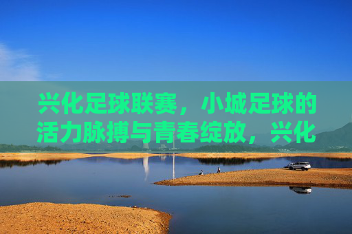 兴化足球联赛,小城足球的活力脉搏与青春绽放,兴化足球联赛,小城足球的活力脉搏与青春绽放