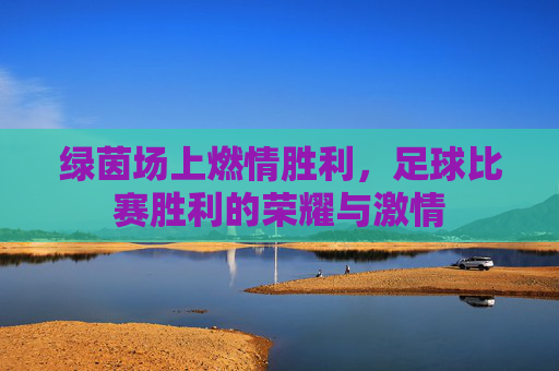 绿茵场上燃情胜利,足球比赛胜利的荣耀与激情