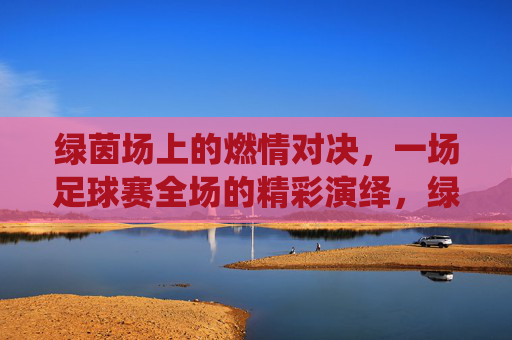 绿茵场上的燃情对决，一场足球赛全场的精彩演绎，绿茵燃情对决，足球赛全场精彩演绎