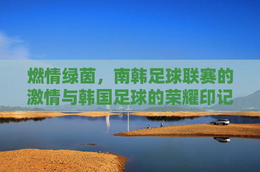 燃情绿茵,南韩足球联赛的激情与韩国足球的荣耀印记,燃情绿茵,南韩足球联赛的激情与韩国足球的荣耀印记