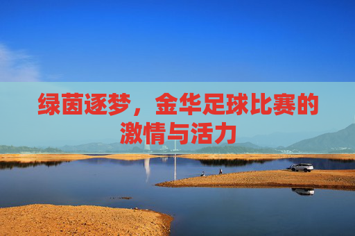绿茵逐梦,金华足球比赛的激情与活力