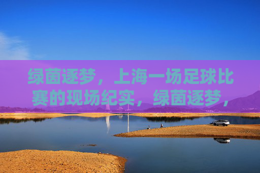 绿茵逐梦，上海一场足球比赛的现场纪实，绿茵逐梦，上海一场足球比赛的现场纪实
