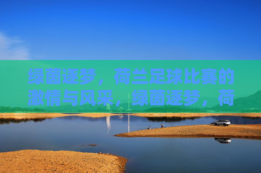 绿茵逐梦，荷兰足球比赛的激情与风采，绿茵逐梦，荷兰足球比赛的激情与风采