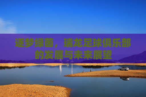 逐梦绿茵，瑞龙足球俱乐部的发展与未来展望