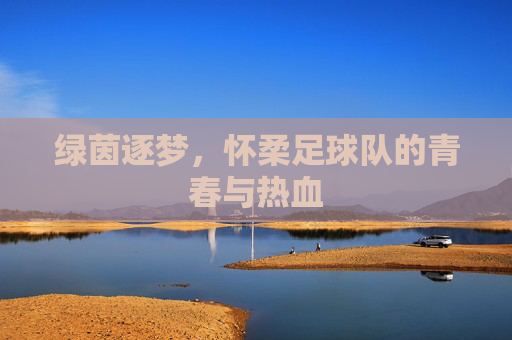 绿茵逐梦,怀柔足球队的青春与热血