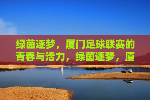 绿茵逐梦，厦门足球联赛的青春与活力，绿茵逐梦，厦门足球联赛的青春与活力