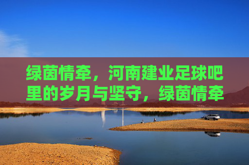 绿茵情牵,河南建业足球吧里的岁月与坚守,绿茵情牵,河南建业足球吧里的岁月与坚守