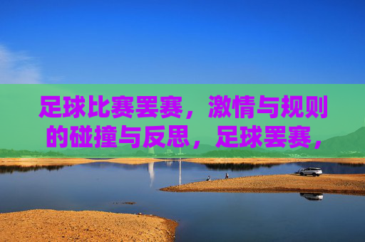 足球比赛罢赛,激情与规则的碰撞与反思,足球罢赛,激情与规则的碰撞与反思