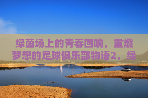 绿茵场上的青春回响,重燃梦想的足球俱乐部物语2,绿茵场上的青春回响,重燃梦想的足球俱乐部物语2