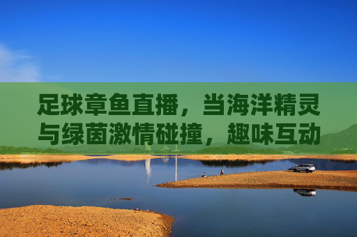 足球章鱼直播,当海洋精灵与绿茵激情碰撞,趣味互动点燃观赛热情,足球章鱼直播,海洋精灵与绿茵激情碰撞,趣味互动点燃观赛热情