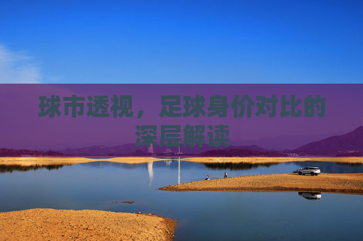 球市透视，足球身价对比的深层解读