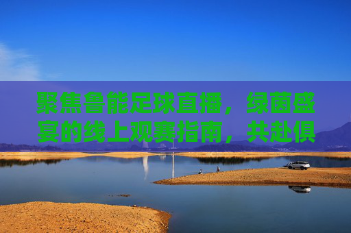 聚焦鲁能足球直播,绿茵盛宴的线上观赛指南,共赴俱乐部荣耀与球迷激情