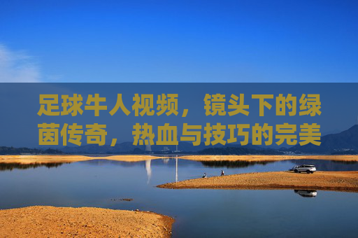 足球牛人视频，镜头下的绿茵传奇，热血与技巧的完美融合，足球牛人视频，镜头下的绿茵传奇，热血与技巧的完美融合