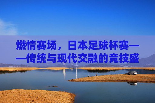 燃情赛场,日本足球杯赛——传统与现代交融的竞技盛宴