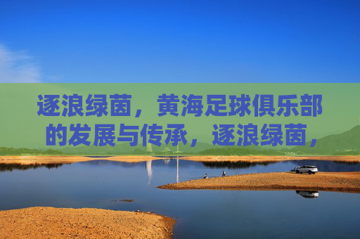 逐浪绿茵,黄海足球俱乐部的发展与传承,逐浪绿茵,黄海足球俱乐部的发展与传承