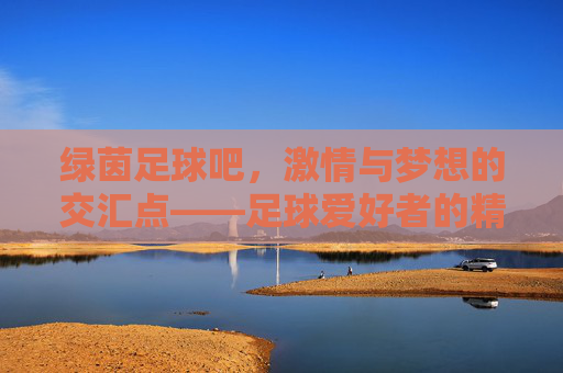 绿茵足球吧,激情与梦想的交汇点——足球爱好者的精神家园
