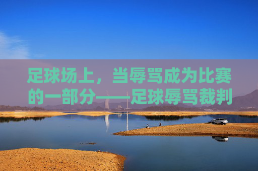 足球场上,当辱骂成为比赛的一部分——足球辱骂裁判现象的拷问与反思