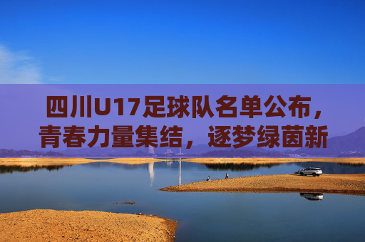 四川U17足球队名单公布，青春力量集结，逐梦绿茵新征程