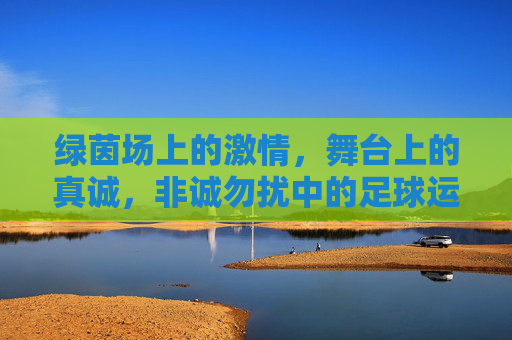 绿茵场上的激情，舞台上的真诚，非诚勿扰中的足球运动员，绿茵场上的激情与舞台上的真诚，非诚勿扰中的足球运动员