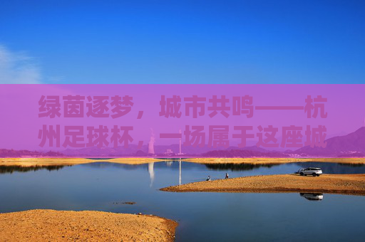 绿茵逐梦,城市共鸣——杭州足球杯,一场属于这座城市的足球狂欢与精神传承,绿茵逐梦,城市共鸣——杭州足球杯,一场属于这座城市的足球狂欢与精神传承