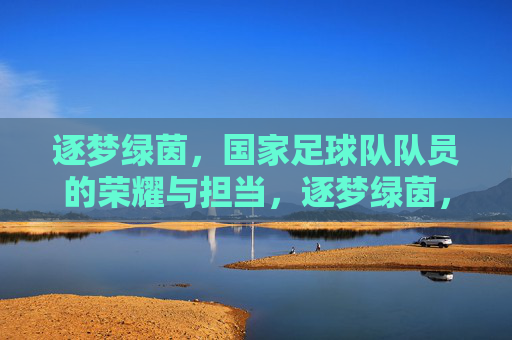 逐梦绿茵,国家足球队队员的荣耀与担当,逐梦绿茵,国家足球队队员的荣耀与担当