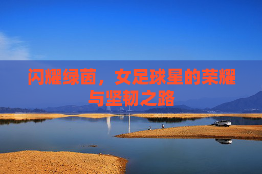 闪耀绿茵,女足球星的荣耀与坚韧之路