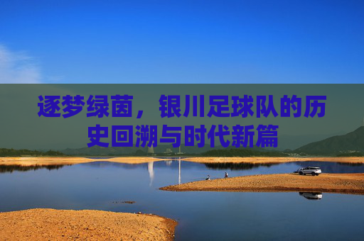 逐梦绿茵,银川足球队的历史回溯与时代新篇