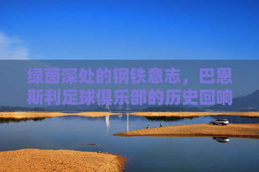 绿茵深处的钢铁意志,巴恩斯利足球俱乐部的历史回响与精神传承,绿茵深处的钢铁意志,巴恩斯利足球俱乐部的历史回响与精神传承