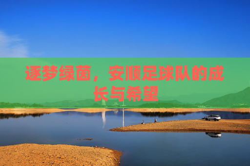 逐梦绿茵，安顺足球队的成长与希望