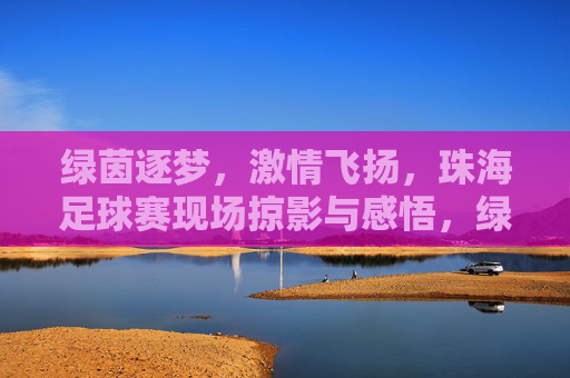 绿茵逐梦，激情飞扬，珠海足球赛现场掠影与感悟，绿茵逐梦，激情飞扬，珠海足球赛现场掠影与感悟