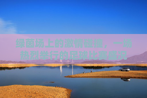 绿茵场上的激情碰撞，一场热烈举行的足球比赛盛况