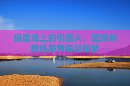 绿茵场上的引路人，足球刘教练与青春足球梦