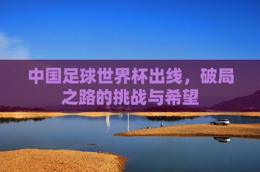 中国足球世界杯出线,破局之路的挑战与希望