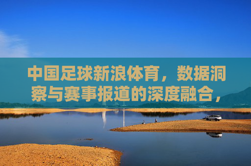 中国足球新浪体育,数据洞察与赛事报道的深度融合,助力中国足球职业化与球迷文化发展,中国足球新浪体育,数据洞察与赛事报道深度融合,助力职业化与球迷文化发展