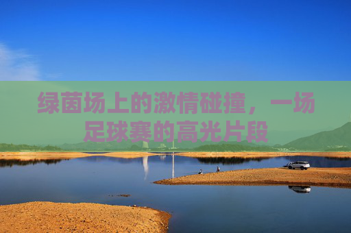 绿茵场上的激情碰撞，一场足球赛的高光片段
