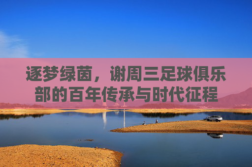 逐梦绿茵,谢周三足球俱乐部的百年传承与时代征程