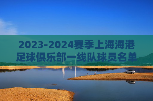 2023-2024赛季上海海港足球俱乐部一线队球员名单,实力矩阵与阵容深度解析