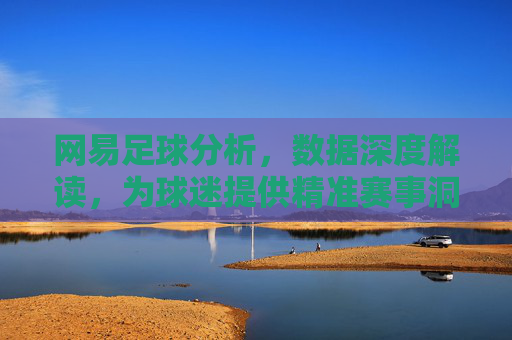 网易足球分析，数据深度解读，为球迷提供精准赛事洞察