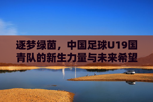 逐梦绿茵,中国足球U19国青队的新生力量与未来希望
