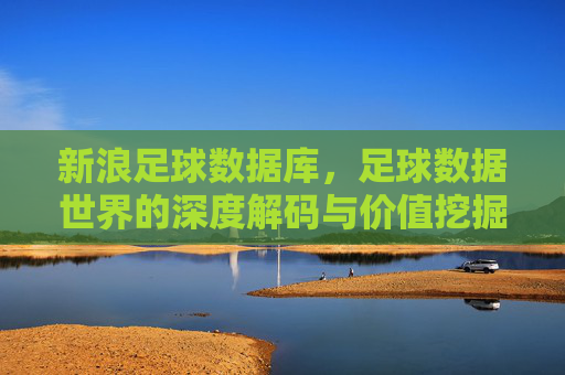 新浪足球数据库，足球数据世界的深度解码与价值挖掘，新浪足球数据库，足球数据世界的深度解码与价值挖掘