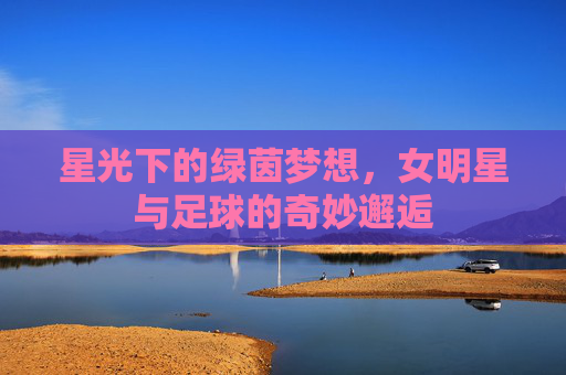 星光下的绿茵梦想,女明星与足球的奇妙邂逅