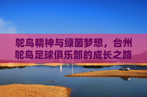 鸵鸟精神与绿茵梦想，台州鸵鸟足球俱乐部的成长之路，鸵鸟精神与绿茵梦想，台州鸵鸟足球俱乐部的成长之路