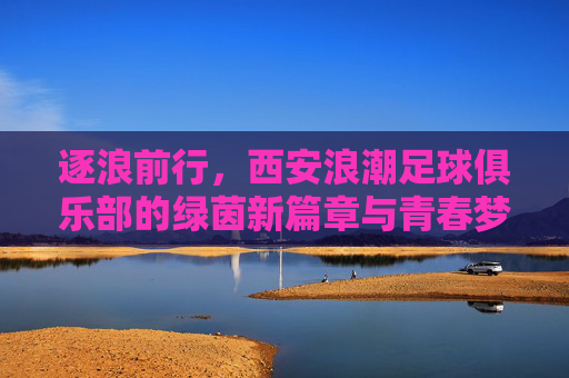 逐浪前行,西安浪潮足球俱乐部的绿茵新篇章与青春梦想,逐浪前行,西安浪潮足球俱乐部的绿茵新篇章与青春梦想