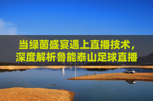 当绿茵盛宴遇上直播技术，深度解析鲁能泰山足球直播的魅力与价值，当绿茵盛宴遇上直播技术，深度解析鲁能泰山足球直播的魅力与价值