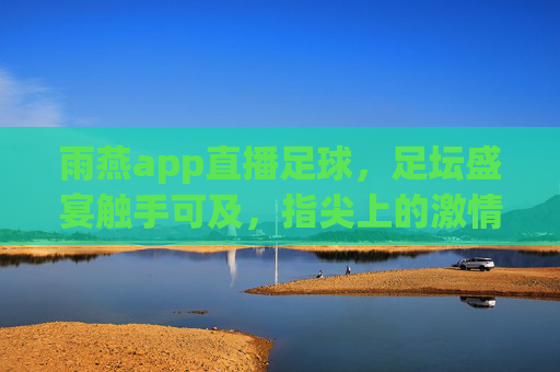 雨燕app直播足球，足坛盛宴触手可及，指尖上的激情盛宴，雨燕app直播足球，足坛盛宴触手可及，指尖上的激情盛宴