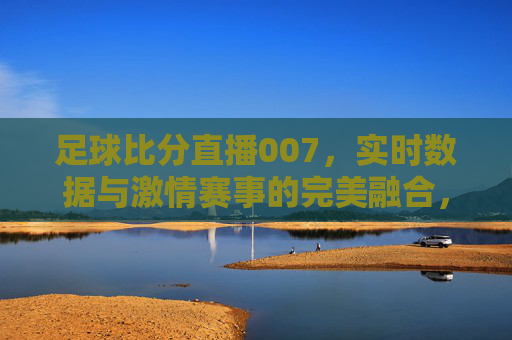 足球比分直播007,实时数据与激情赛事的完美融合,带你领略足球世界的精彩瞬间