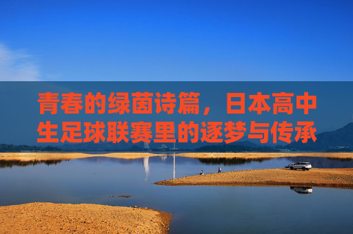 青春的绿茵诗篇,日本高中生足球联赛里的逐梦与传承,青春的绿茵诗篇,日本高中生足球联赛里的逐梦与传承