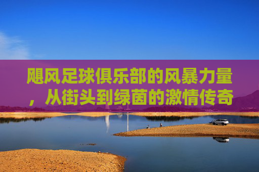飓风足球俱乐部的风暴力量,从街头到绿茵的激情传奇,飓风足球俱乐部的风暴力量,从街头到绿茵的激情传奇