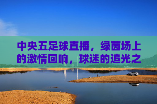 中央五足球直播，绿茵场上的激情回响，球迷的追光之旅，中央五足球直播，绿茵场上的激情回响，球迷的追光之旅